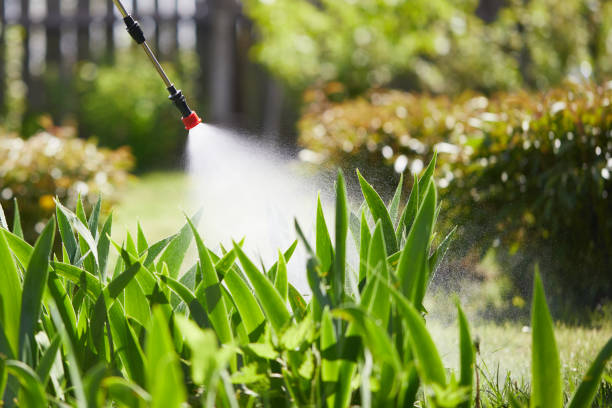 24/7 Emergency Mosquito Control experts in Trucksville, PA