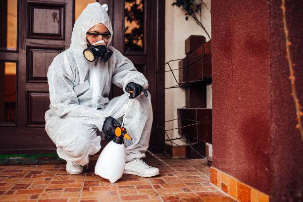 Reliable Mosquito Control contractor in Trucksville, PA by Show Me Pest Control